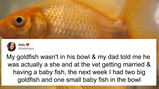 Twitter User Asked, “What Is The Dumbest Thing You Believed As A Child?” And 34 Folks Delivered