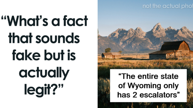 38 Facts So Weird You Might Think They’re Made Up (But They’re Not)
