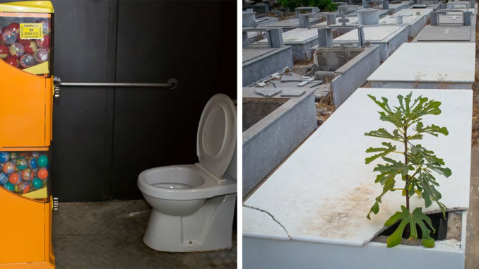 24 Serendipitous Moments Captured In Everyday Life By This Street Photographer