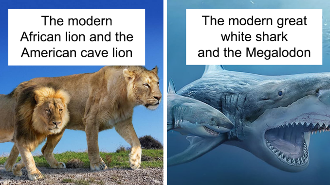 37 Comparisons Of The Sizes Of Prehistoric Animal Ancestors And Their Modern Relatives By Roman Uchytel